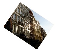 Guggenheim Museum